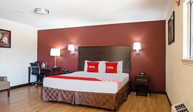 Central Unit By Olive Garden - Pets Welcome, Pool, Free Parking Available