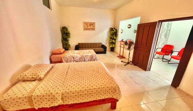 Centrally located and spacious apartment