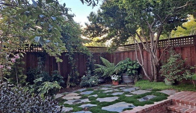 Charming 1-bedroom Garden Unit in San Francisco