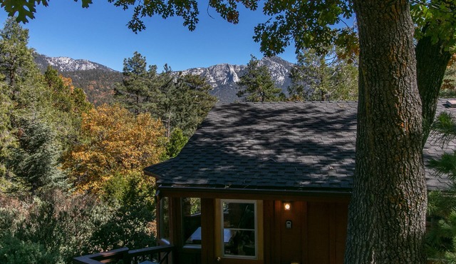 Charming Hot Tub Cabin