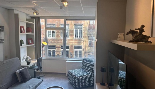 Charming Studio in Central Brussels - Walk Everywhere! in Brussels