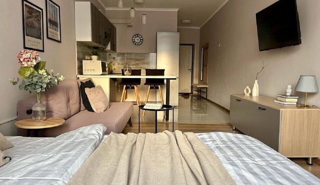 Charming studio Merenga in wonderful Almaty with WiFi, AC
