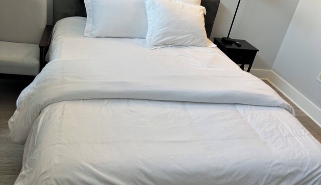 Charming Studio near Capitol Hill - U2
