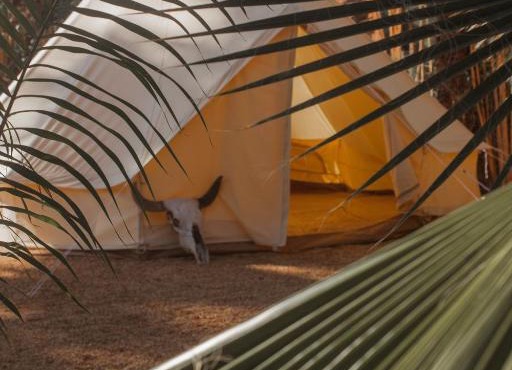 Cien Palmas Tent 1