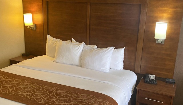 Comfort Inn Springfield in Springfield