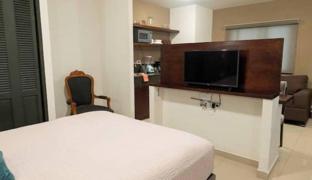 Comfortable apartment in the heart of Leon.
