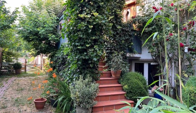 Comfortable house in Tamaulipas Ciudad Victoria
