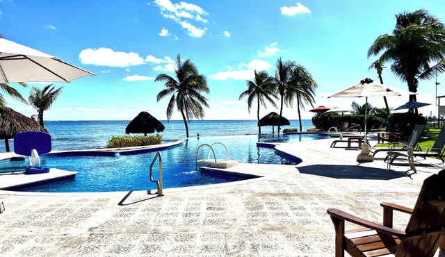 Condo #322 at Caribbean Reef Villas - OceanFront, huge pool for families/couples