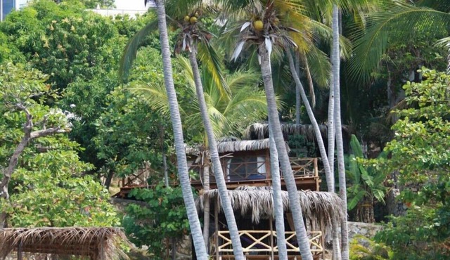 Coral Cabin