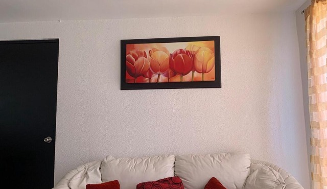 Cuarto amueblado para dama