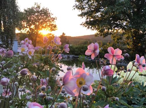 dashausderfloristin