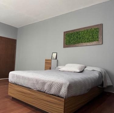 Departamento Moderno y Centrico check in autonomo no necesitas llaves