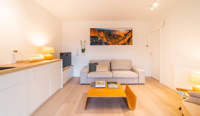 Design, comfy & quiet 1 bedroom apartment near Brussels