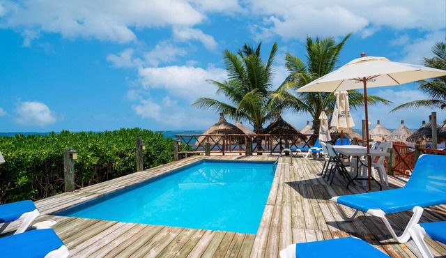 Diving Lodge Puerto Morelos Downtown - - Beachfront cabins