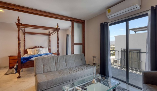 Dog-friendly apartment with rooftop infinity pool, gym, central AC, & balcony