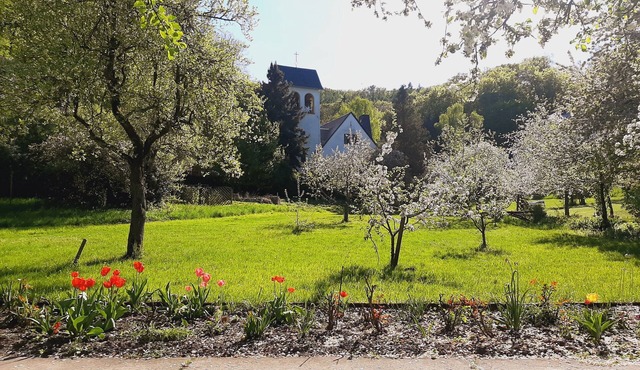 Double room for 2 guests with 12m² in Bad Freienwalde (Oder) (272806) in Bad Freienwalde (Oder)