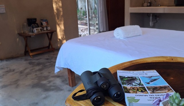 Ecolodge Xocen Birding