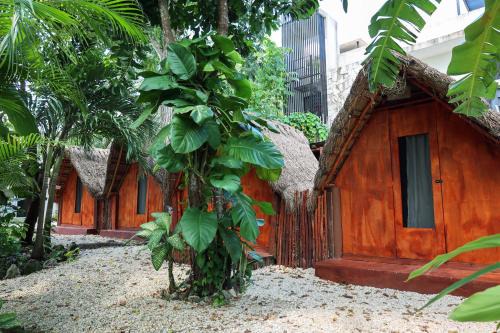 El Búho Bacalar Eco-Cabañas Hostal