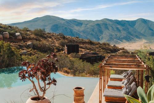 Encuentro Guadalupe
