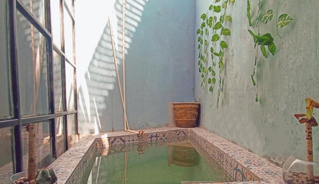 Exclusivo bugambilias Lukasa Home first floor & pool