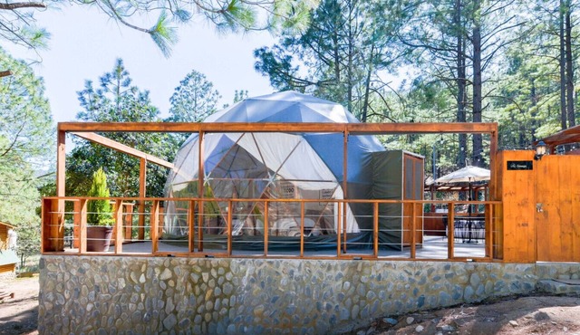 Families with Children Only -No Exceptions - Dome