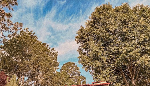 Family cabin 10 minutes from Mazamitla (pet friendly)