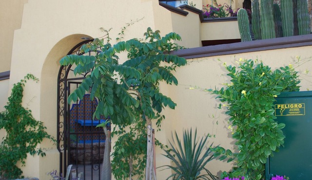 Four-Story Luxury Villa in Pedregal With Two Pools and Walking Distance to Town