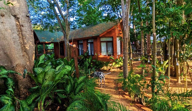 Free pet-friendly nice Cabin/Wifi/AC/Kitchen/Grill
