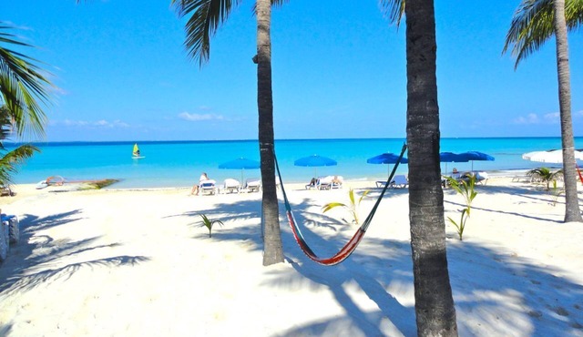 Fresh and Clean Beachfront Ground Floor Condo #9 at Nautibeach