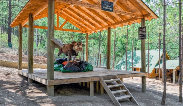 Glamping experience surrounded by nature