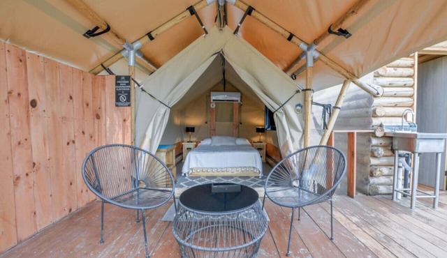 Glamping experience surrounded by nature