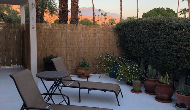 Gorgeous Mid-Century Cottage! Private Yard, Views, Fireplace, Walk to El Paseo!