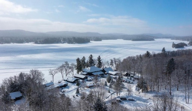 Great Pines in Old Forge