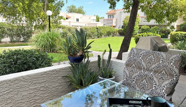 Ground Floor : Garage : Big Patio : 2 Desks : Heated Pool : Hypoallergenic Dogs