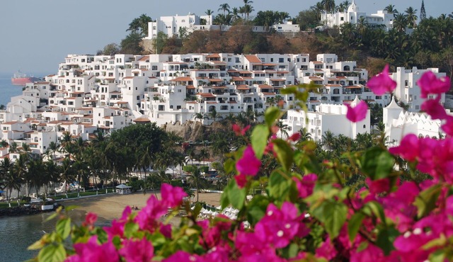 Have it All: Ocean View, Beach, Pool and Style for $99 p.n.