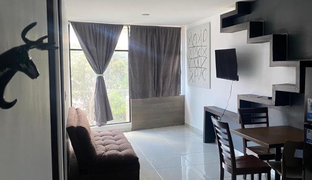 Hermoso Departamento Ejecutivo 2