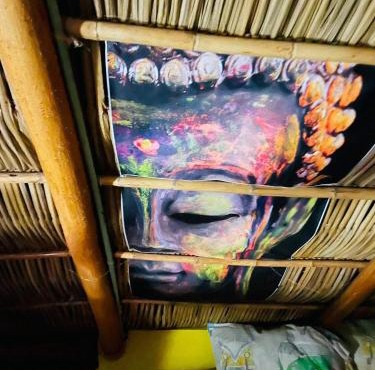 Hippie Palace Rooftop Fun Ocean Views And Sunset Vibes