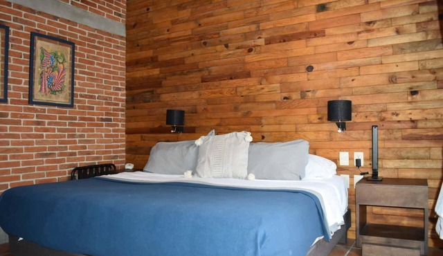 Historical Beautiful Downtown Apartment Ugalde