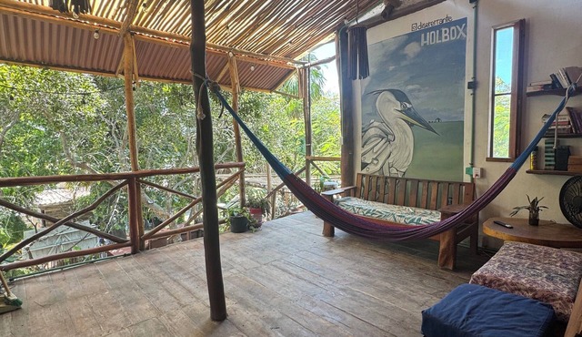 hostal casa holbox