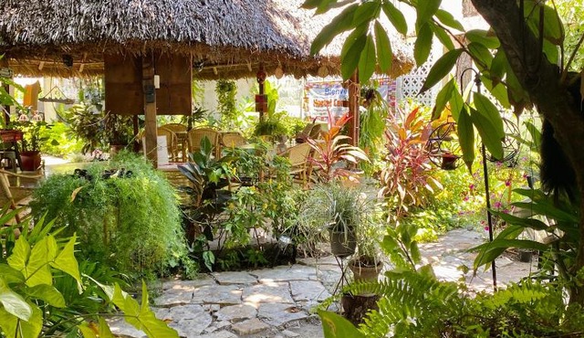 Hostal Casa Huasteca