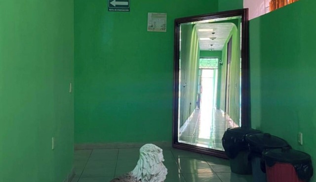 Hostel 1 block from downtown tequila with games room and bar.