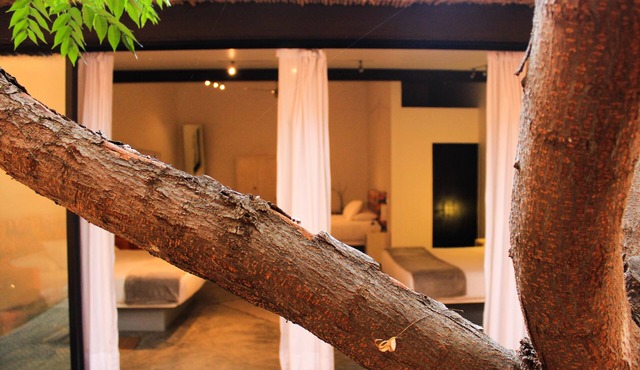 Hotel Cosijo