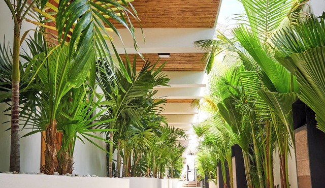 Hotel El Mejor