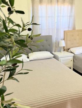 Hotel Mision Ferrer