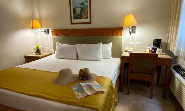 Hotel Olmeca Plaza