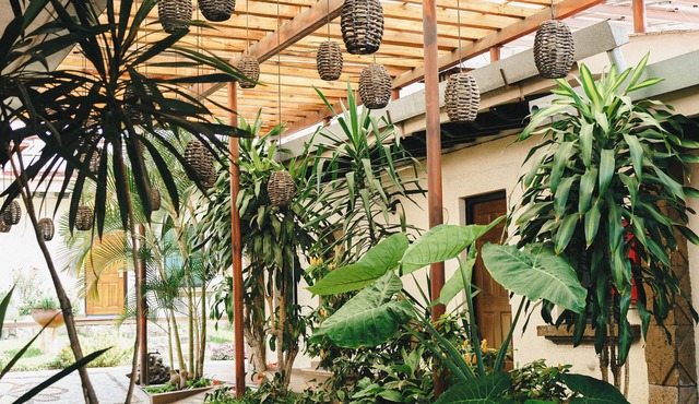Hotel Posada Virreyes