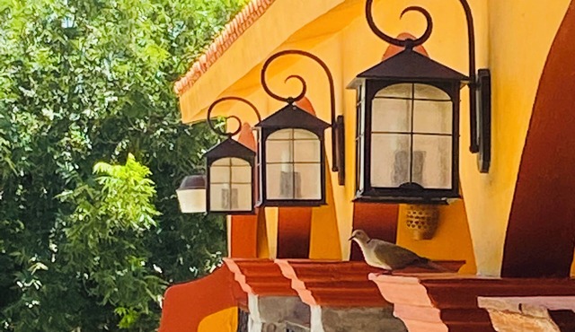 Hotel Quinta Sta Cecilia
