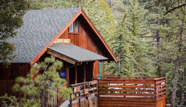 Idyllwild Camping Resort Cabin