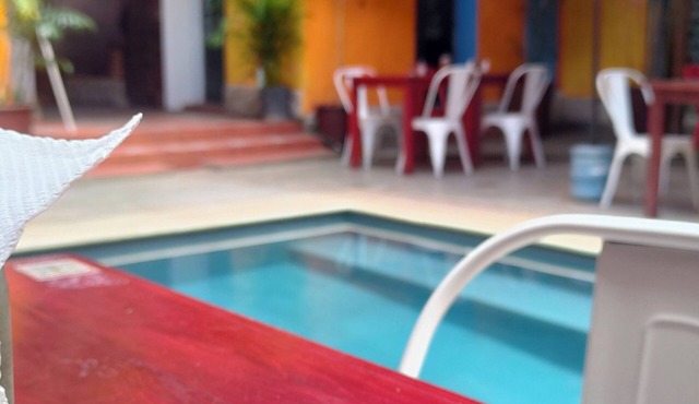 Iguana Co-living