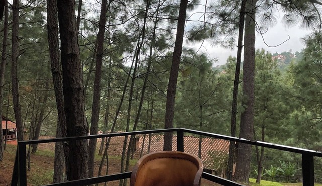 Immersed in the Mazamitla Forest.